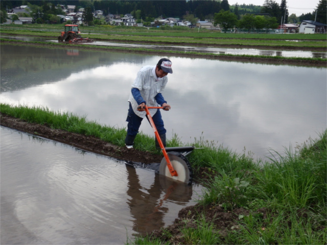 あぜシート張り | べこ飼い 伊藤｜山形県米沢市の米沢牛生産農家