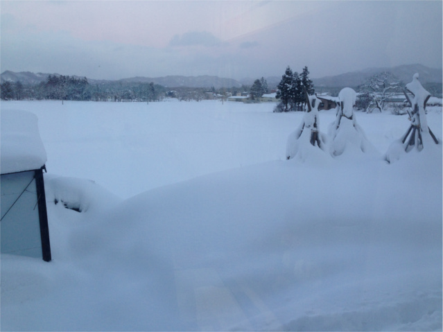 2016.1.25大寒波で雪HPブログ